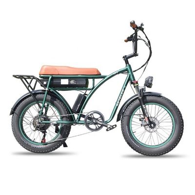 Capacidad de la batería de 23AH 1000W 2000W Motor de 20 pulgadas Fat Bike Bicicleta eléctrica soporte personalizado