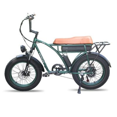 Capacidad de la batería de 23AH 1000W 2000W Motor de 20 pulgadas Fat Bike Bicicleta eléctrica soporte personalizado