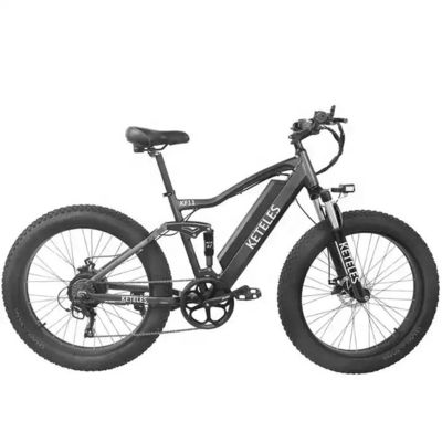 Bicicleta de montaña eléctrica de motor de 48V 250W con batería de litio de 10AH y batería integrada