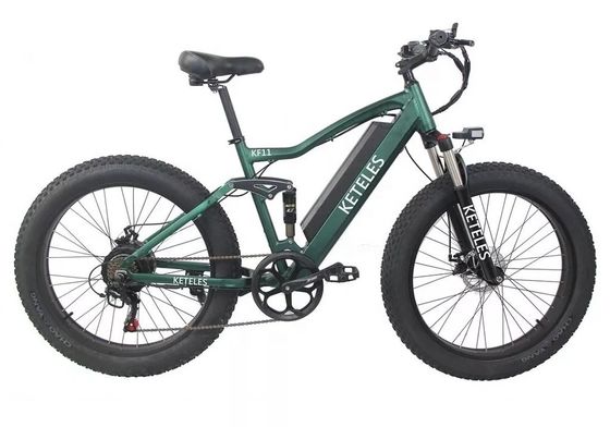 Bicicleta de montaña eléctrica de motor de 48V 250W con batería de litio de 10AH y batería integrada