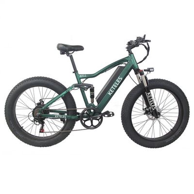 Cuadro de aleación de aluminio 48V 13AH Batería de litio neumático graso bicicleta eléctrica con motor de 1000W