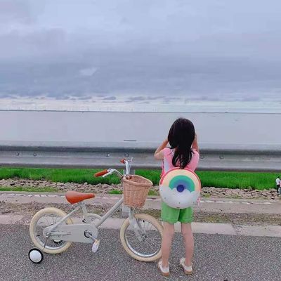 Alloy Rim INS estilo 16 pulgadas bicicleta retrógrada de niños de velocidad única para niños de 4-8 años