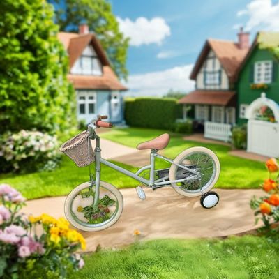 Alloy Rim INS estilo 16 pulgadas bicicleta retrógrada de niños de velocidad única para niños de 4-8 años
