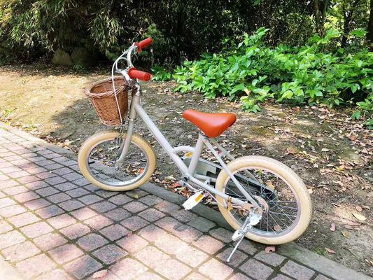 Alloy Rim INS estilo 16 pulgadas bicicleta retrógrada de niños de velocidad única para niños de 4-8 años