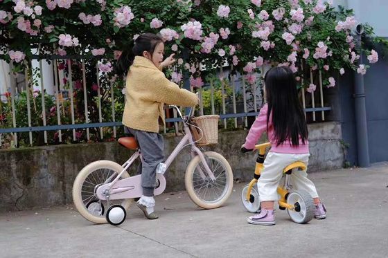 Alloy Rim INS estilo 16 pulgadas bicicleta retrógrada de niños de velocidad única para niños de 4-8 años