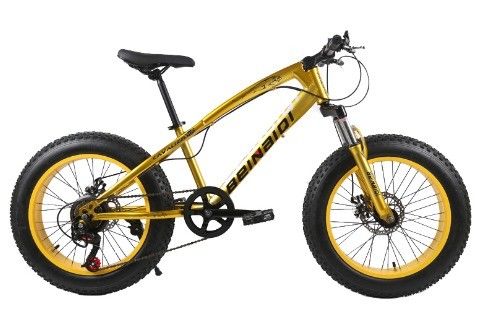 Bicicleta de nieve de playa para niños de 20 pulgadas 4.0 de neumáticos gordos Bicicleta de montaña con velocidades 7/21/24/27