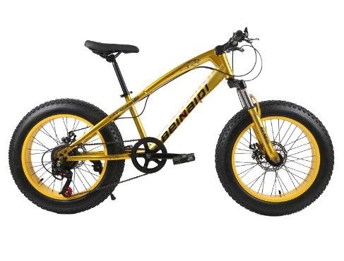 Bicicleta de nieve de playa para niños de 20 pulgadas 4.0 de neumáticos gordos Bicicleta de montaña con velocidades 7/21/24/27